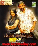 Bayam Areyan 2009